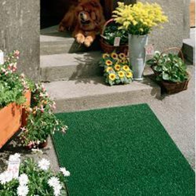 Huvudbild Entrématta Astro Turf | Tre färger